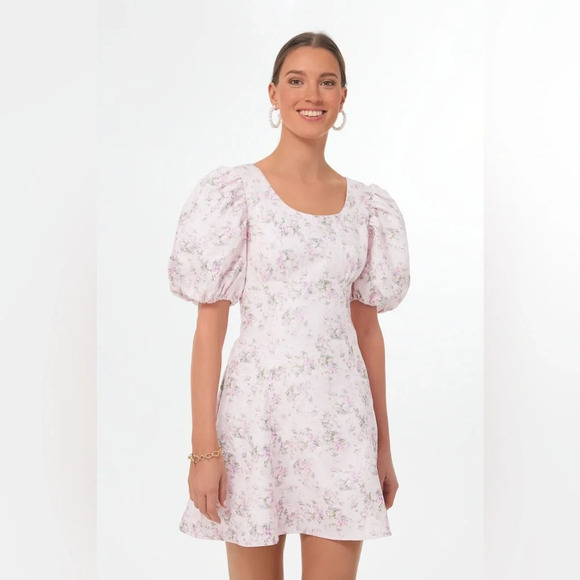 NWT Tuckernuck HYACINTH HOUSE Pink Jacquard Empire Ella Mini Dress Medium - Picture 3 of 9